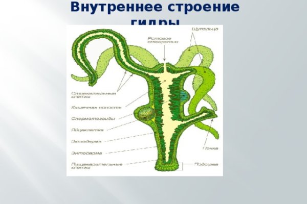 Активная ссылка кракен