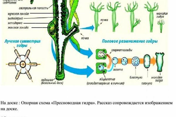 Кракен вход официальный сайт