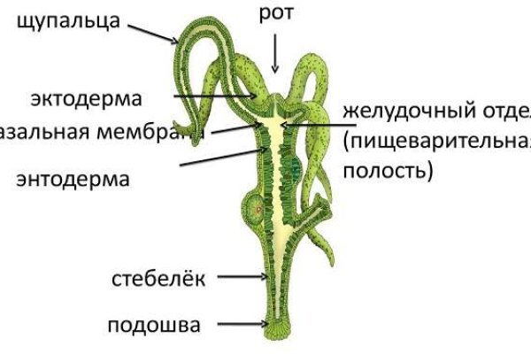 Что такое кракен плейс