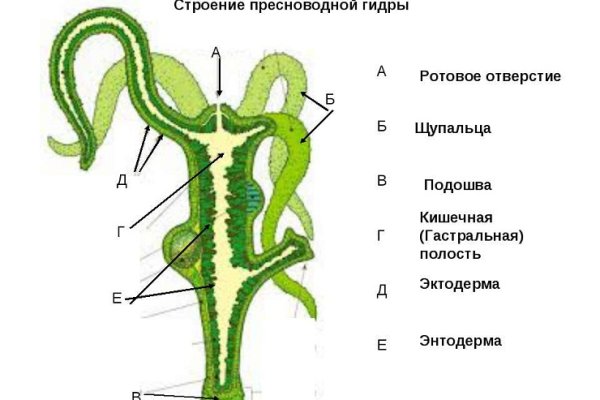 Найти ссылку на кракен