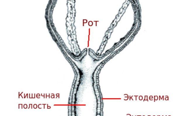 Kraken market ссылка тор